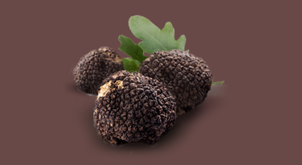 Tartufo2